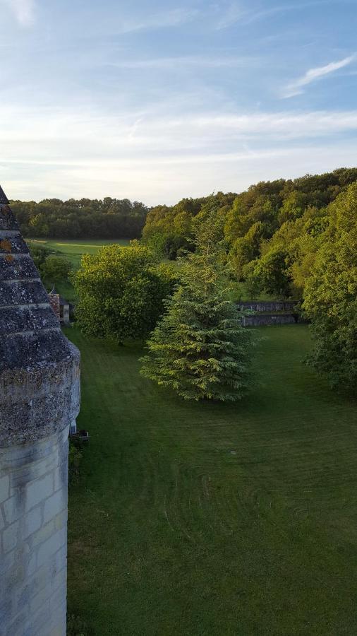 Château de Ré Le Petit-Pressigny Exterior foto